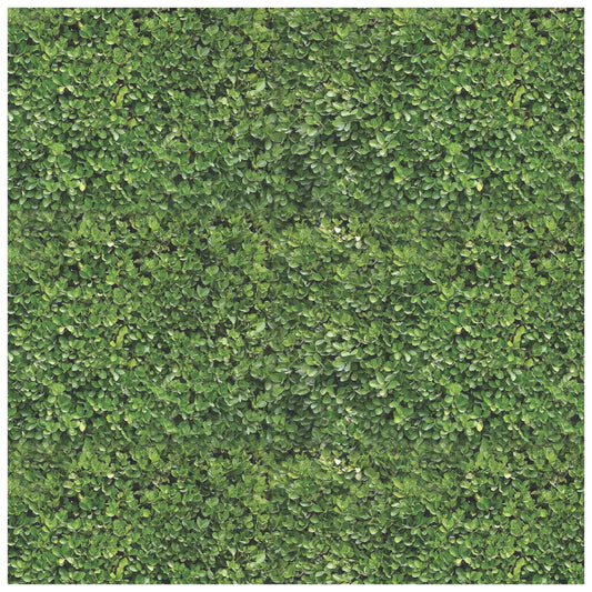 Hampton Hedge Square Disposable Chargers - 24 Pack