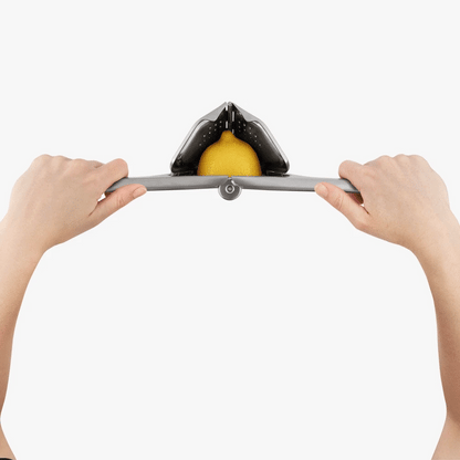 Heavy Duty Stainless Citrus Flat Fold Easy Juicer for Lemons, Limes, Oranges