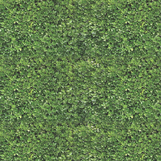 Hampton Hedge Square Disposable Chargers - 24 Pack