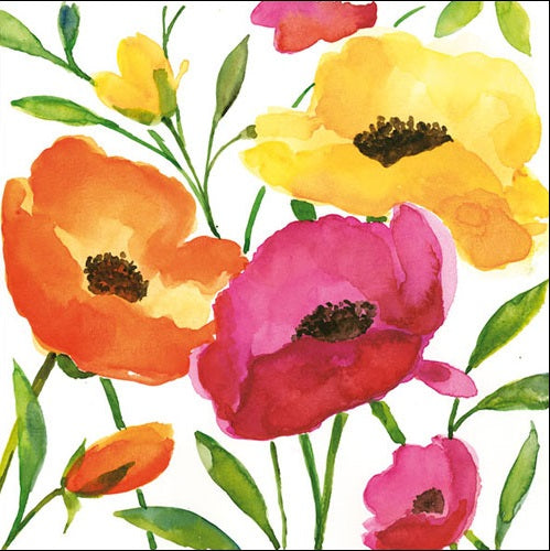 Poppy Flowers Printed Lunch Napkins - 20 Count