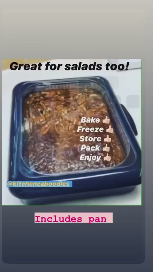 Travel casserole carrier